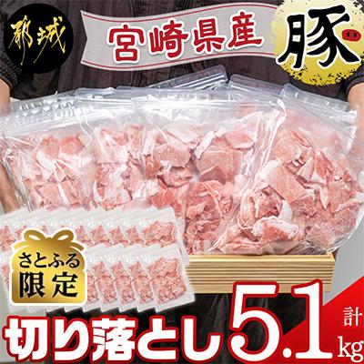 ふるさと納税 都城市 宮崎県産豚切り落とし5.4kg(小口ジッパー袋入り)