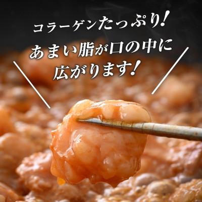 ふるさと納税 越前町 【訳あり】黒毛和牛 ぷりっぷりのホルモン 特製タレ味付き600g(200g×3袋) 小分け包装|y-sf|02