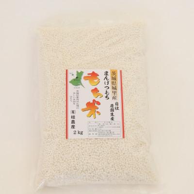 ふるさと納税 城里町 令和5年 城里町産マンゲツモチ(精米) 2kg×1袋