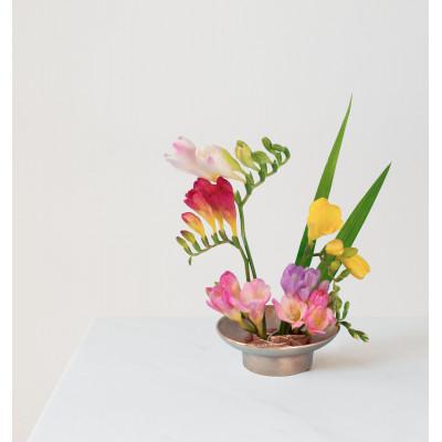 ふるさと納税 金沢市 花をみずみずしく長持ち!テーブル上の花壇 Flower garden