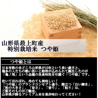 ふるさと納税 最上町 【新米 先行受付】令和6年産 特別栽培米つや姫　玄米 5kg　山形県産　西塚農場のお米｜y-sf｜02