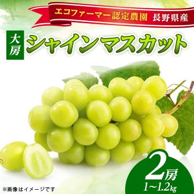 ふるさと納税 千曲市 [2026年発送]朝採りシャインマスカット 大粒 大房 2房(1〜1.2kg)