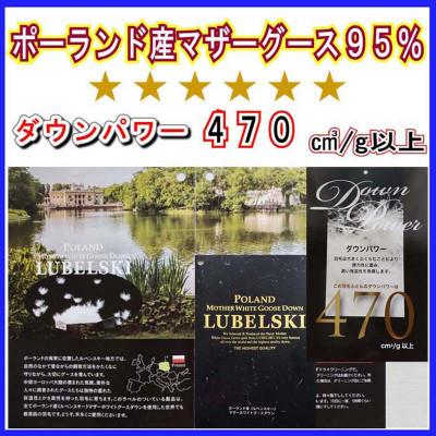 ふるさと納税 都留市 羽毛布団シングル ポーランド産マザーグース95%羽毛掛け布団150×210cmdp470立体SBの画像