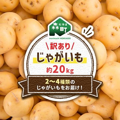 ふるさと納税 森町 [先行受付]訳ありじゃがいも約20kg