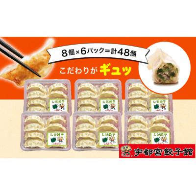 ふるさと納税 宇都宮市 「宇都宮餃子館」のしそ餃子 8個入り×6パック(計48個)