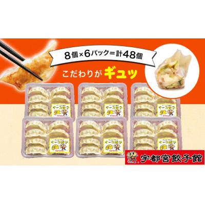 ふるさと納税 宇都宮市 「宇都宮餃子館」のチーズ餃子 8個入り×6パック(計48個)