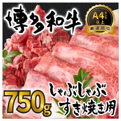 ふるさと納税 芦屋町 訳アリ![A4〜A5]博多和牛しゃぶしゃぶすき焼き750gセット(芦屋町)