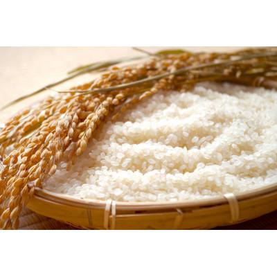 ふるさと納税 最上町 【さとふる限定】令和6年産山形県産特別栽培米　つや姫5kg(無洗米)