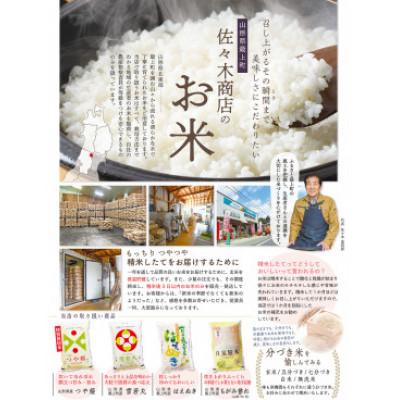ふるさと納税 最上町 【無洗米】令和4年産山形県産雪若丸10kg|y-sf|04