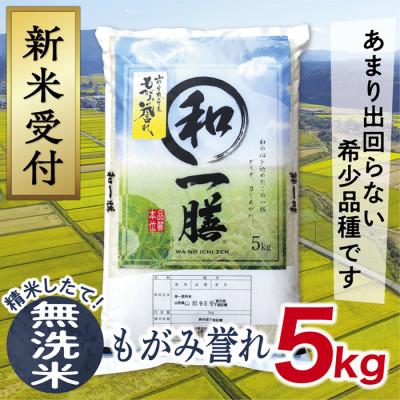 ふるさと納税 最上町 [令和6年産先行受付]山形県産もがみ誉れ5kg(無洗米)