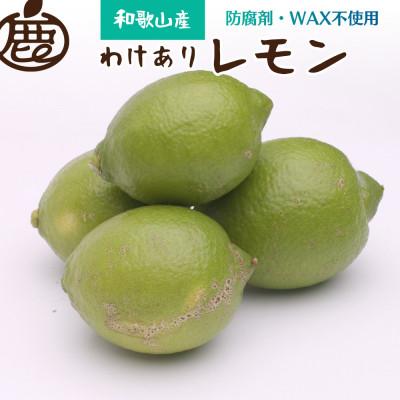 ふるさと納税 和歌山市 家庭用 黒潮レモン4kg+120g(傷み補償分)[和歌山有田産][防腐剤・WAX不使用][訳あり]