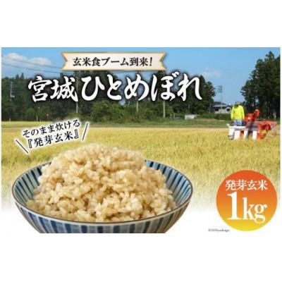 ふるさと納税 加美町 簡単に炊ける 宮城県産 ひとめぼれ 発芽玄米1kg