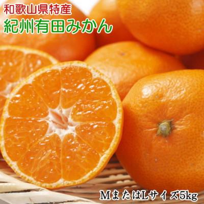 ふるさと納税 新宮市 [秀品]和歌山有田みかん約5kg(MサイズまたはLサイズのいずれかをお届け)(新宮市)