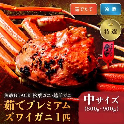 ふるさと納税 京丹後市 茹でプレミアムズワイガニ(松葉・越前) 魚政BLACK 特選 中サイズ 1匹(2026年1月〜発送)