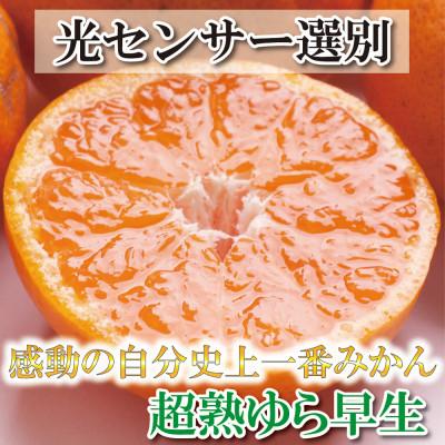 ふるさと納税 太地町 [2024年11月より発送]厳選 超熟有田みかん2kg+60g(傷み補償分)[光センサー選果]