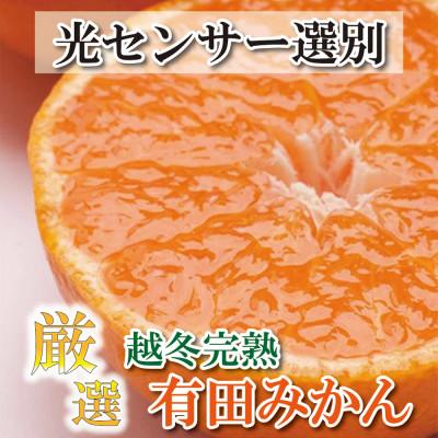 ふるさと納税 由良町 [2025年1月より発送]厳選 越冬完熟みかん5kg+150g(傷み補償分)[光センサー選果]