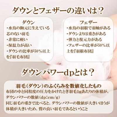 ふるさと納税 三股町 寒色系日本製羽毛掛ふとんシングルサイズ＜150cm×210cm＞【MI038】_1