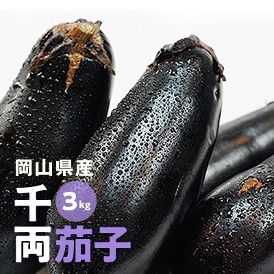 ふるさと納税 津山市 [2026年7月以降発送]なす栽培歴50年の大ベテランが育てた『朝採れ茄子』 3kg