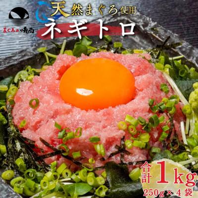 ふるさと納税 浜松市 海商のネギトロ 250g×4パック