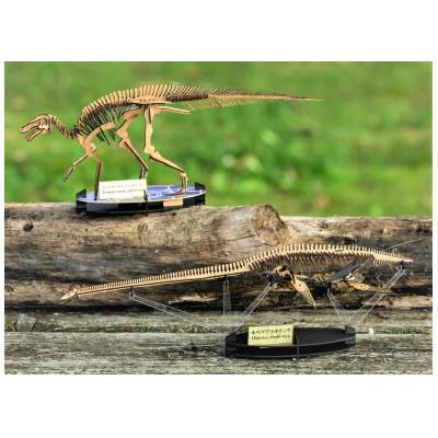 ふるさと納税 むかわ町 3D恐竜ペーパーパズル[カムイサウルス・ジャポニクス(むかわ竜)][ホベツアラキリュウ]2点セット