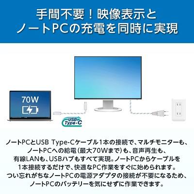 ふるさと納税 白山市 EIZOのUSB Type-C入出力搭載24.1型モニター FlexScan EV2495 ホワイト｜y-sf｜02