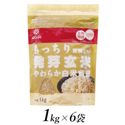 ふるさと納税 南アルプス市 はくばくのもっちり美味しい発芽玄米 1kg×6個