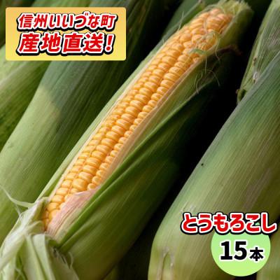 ふるさと納税 飯綱町 とうもろこし 15本