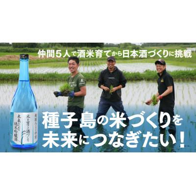 ふるさと納税 中種子町 純米吟醸酒　わたる　720ml×2本 