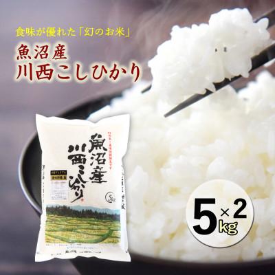 ふるさと納税 十日町市 新潟県魚沼産 川西コシヒカリ 10kg(5kg×2袋) 令和7年産米[10月下旬以降発送]
