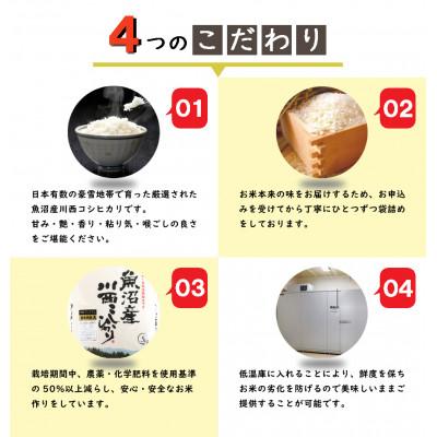 ふるさと納税 十日町市 新潟県認証米　【無洗米】新潟県魚沼産 川西こしひかり 5kg×2袋 