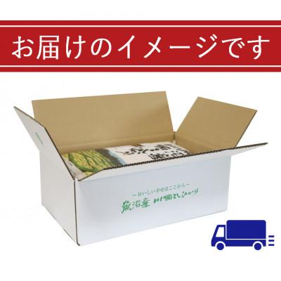 ふるさと納税 十日町市 新潟県認証米　【無洗米】新潟県魚沼産 川西こしひかり 5kg×2袋 