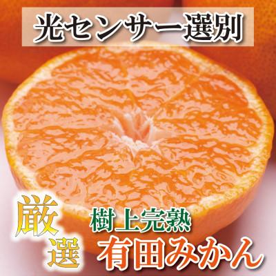 ふるさと納税 新宮市 [2024年11月より発送]厳選 完熟有田みかん2.5kg+75g(傷み補償分)[光センサー選果]