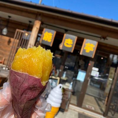 ふるさと納税 水戸市 蜜焼き芋・焼き芋の干し芋 |y-sf|04