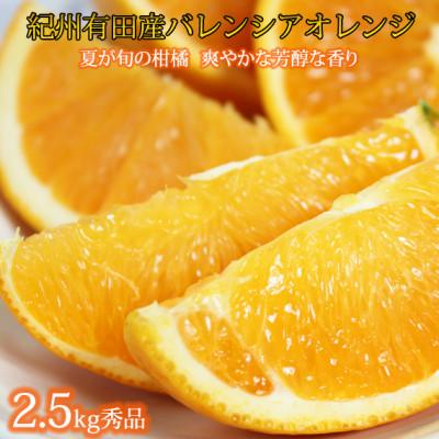 ふるさと納税 広川町 秀品 希少な国産バレンシアオレンジ 2.5kg