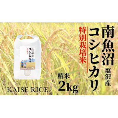 ふるさと納税 南魚沼市 南魚沼産塩沢コシヒカリ[従来品種](特別栽培米)精米2kg