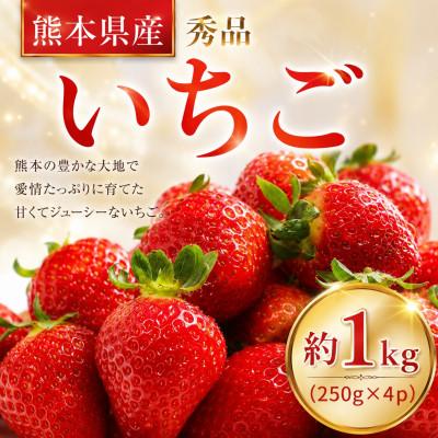 ふるさと納税 玉名市 [先行予約]玉名産 いちご「ゆうべに」or「恋みのり」約1kg(250g×4パック)