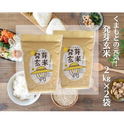 ふるさと納税 山鹿市 くまもとの元気! 発芽玄米2kg×2袋