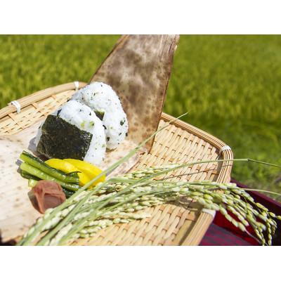 ふるさと納税 土浦市 【順次発送】4年茨城県産ミルキークイーン精米2kg 冷めても美味しいもちもちなお米|y-sf|03