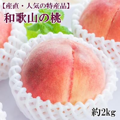 ふるさと納税 太地町 [産直・人気の特産品]和歌山の桃 約2kg・秀品[2025年度発送分](太地町)