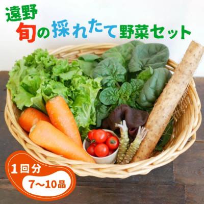 ふるさと納税 遠野市 旬の採れたて野菜セット(7〜10品目)〜いっぺ食べろよ〜