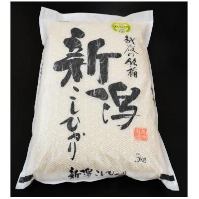 ふるさと納税 胎内市 越後の銘稲 新潟こしひかり 精米 5kg