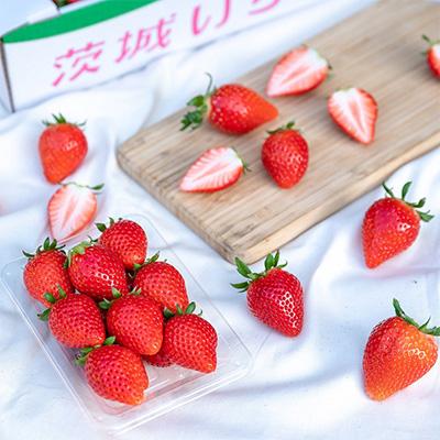 ふるさと納税 かすみがうら市 やよいひめ　朝摘み・当日発送　250g&times;4パック