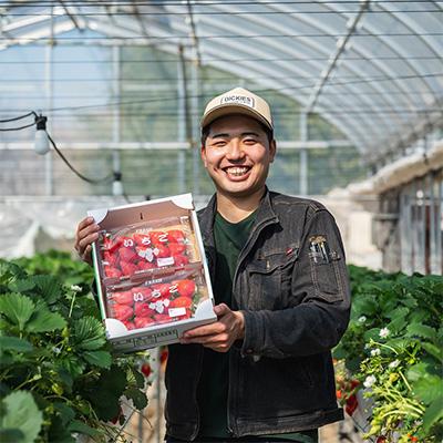 ふるさと納税 かすみがうら市 やよいひめ　朝摘み・当日発送　250g&times;4パック