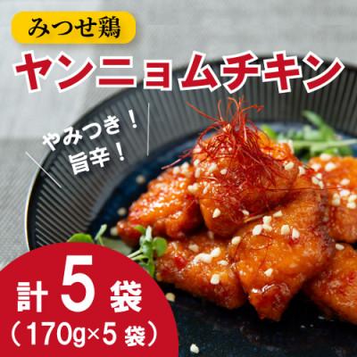 ふるさと納税 吉野ヶ里町 みつせ鶏やみつきヤンニョムチキン 170g×5袋(吉野ヶ里町)