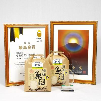 ふるさと納税 魚沼市 令和7年産 ツバメの飛び交う棚田米 精米6kg(3kg×2袋)