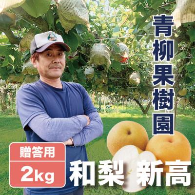 ふるさと納税 加茂市 「青柳果樹園の和梨」新高 贈答用 2kg(3〜5大玉)|ふるさと納税 甘くてみずみずしい旬の味覚