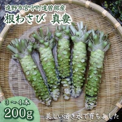 ふるさと納税 遠野市 [生産者直送]宮守特産わさび(生) 真妻 200g(3〜4本) 岩手県 遠野市 達曽部 薬味 葵食品