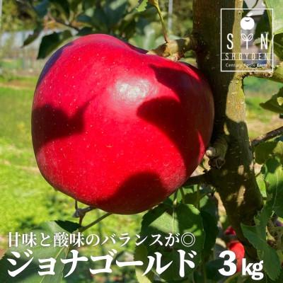 ふるさと納税 遠野市 りんご ジョナゴールド 3kg 松陽園 樹上 完熟 岩手県 遠野市 産 先行予約 農家直送