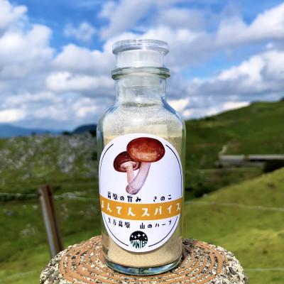 ふるさと納税 久万高原町 まんてんスパイス 高原の旨み きのこ 60g