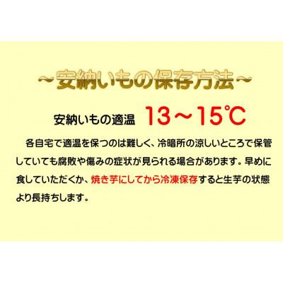 ふるさと納税 中種子町 種子島産安納芋5kg|y-sf|02